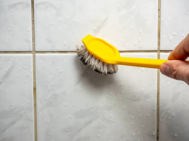 Best Residential Mold Remediation in Brooksi, DE