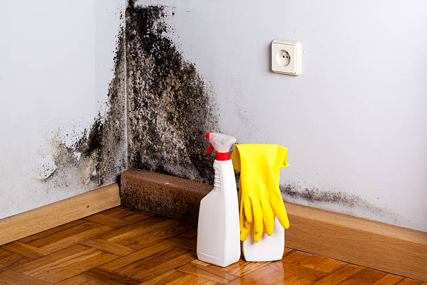 Best Industrial Mold Remediation in Brooksi, DE